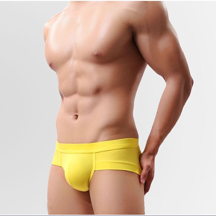 Men Boxer Custom Logo Name Brand Boxers Briefs 100% Cotton Sexy Panties Boys Underwear