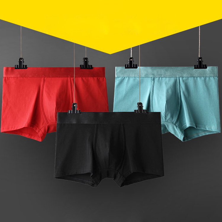 IMG_2734(20210406-153207)