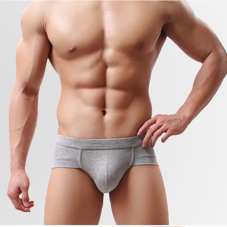 Men Boxer Custom Logo Name Brand Boxers Briefs 100% Cotton Sexy Panties Boys Underwear